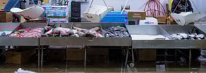 Fish_Market_2