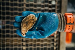 mwc-lowco-builder-35-min_1512x